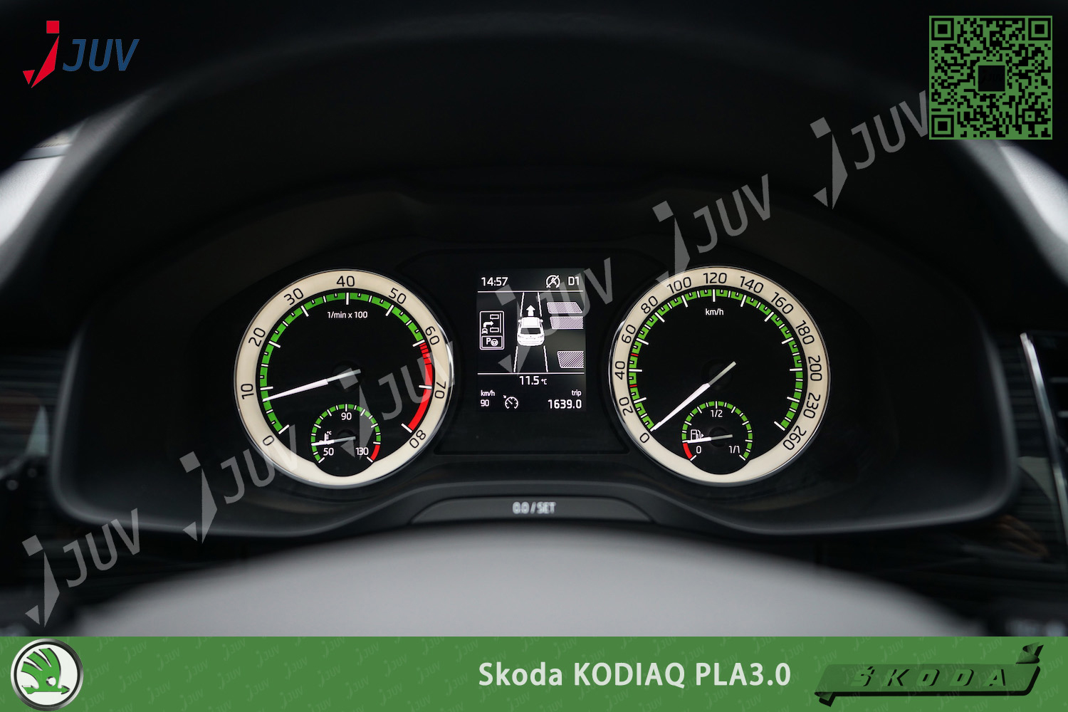 W_PLA3_kodiaq_2.jpg
